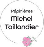 Pépiniériste rosiériste Michel Taillandier, multiplicateur et greffeur